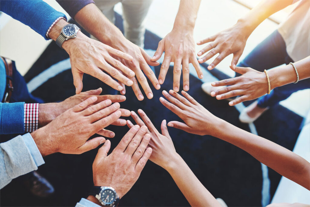 non-profit organisations